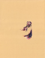 three-3-flat
